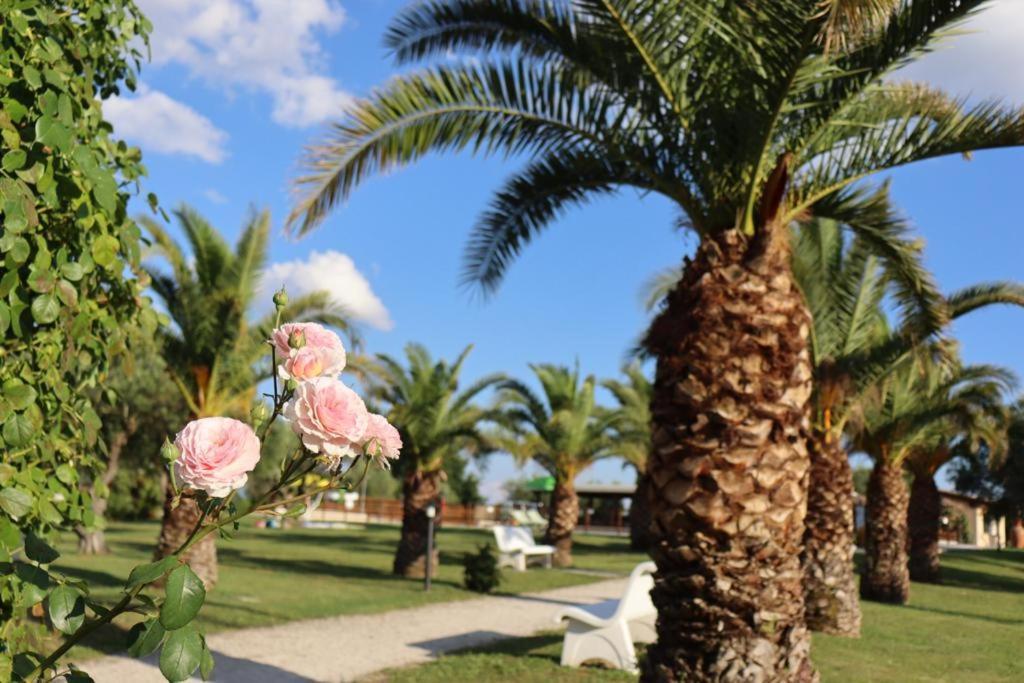 ריווטורטו Agriturismo Il Casale Di Monica מראה חיצוני תמונה